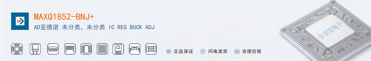 MAXQ1852-BNJ+������