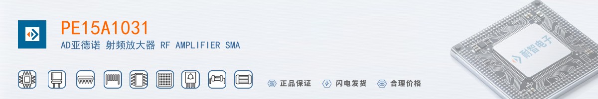 PE15A1031������